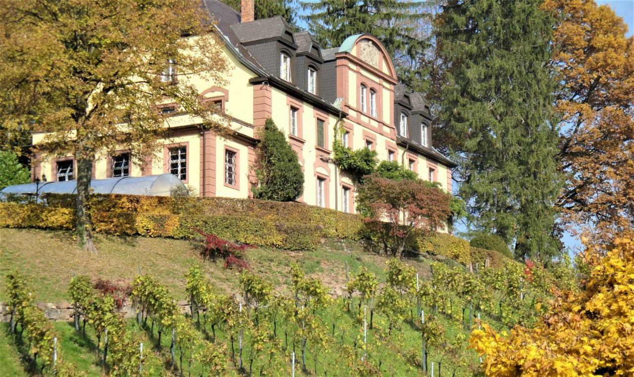 Wein Lodge Durbach - Josephsberg Экстерьер фото